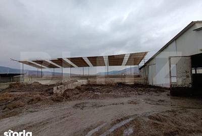 Spațiu comercial, de 6,600 mp, în Valea Lungă - 6