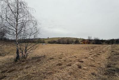 RECO , teren intravilan in Tomnatic, Vadu Crisului - 4