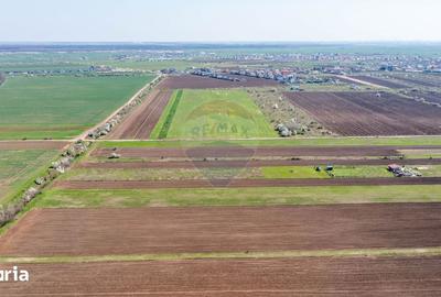Teren de 500 mp, în Săbăreni - 2