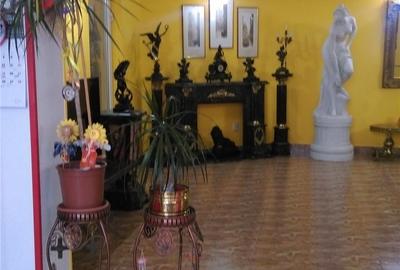 Casă cu 13 camere cu Teren 1410 Mp în Dumbrăvița - 2