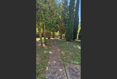 Vila spațioasă 5 dormitoare, Provita de Jos - 3