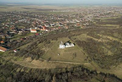 Castel cu vedere panoramica pe dealul ?iriei - 14