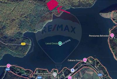 Teren forestier langa lacul Cincis, jud Hunedoara - 1