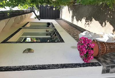 Casa de vanzare Sannicolau Mare - 5