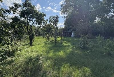 Casă cu 3 camere cu Teren 1651 Mp în Feldioara - 8