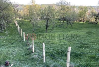 Teren intravilan de 7280 mp, în Mihăești - 6