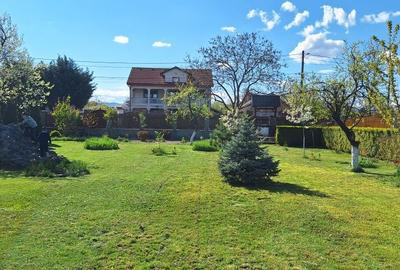 Spațiu comercial, în Golești - 1