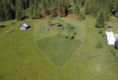 Teren de 9685 mp, în Neagra - 5