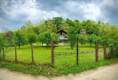 De vanzare casa in Homorod - 1