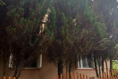 Casă în Poiana - 4
