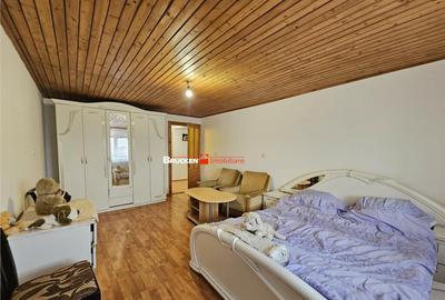 Casa spatioasa P M cu spatiu comercial Rogerius, zona... - 2