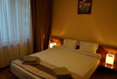 Calea Victoriei, 2 camere, mobilat complet, etaj 7, bloc solid termoizolat - 2