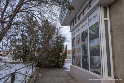 Comanesti, langa Politie – geamuri mari, vizibil - 4