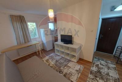 Garsoniera moderna de inchiriat Moise Nicoara - Piata Alb... - 5