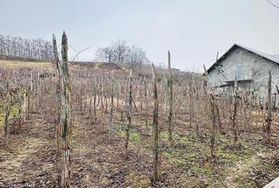 Teren intravilan - 4