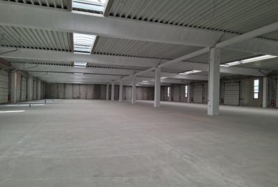 Hala beton 3000 mp, ideal fabrica, 10 Porti TIR, dedicat 400 kw Hala beton 3000 mp, ideal fabrica, 10 Porti TIR, dedicat 400 kw - 2
