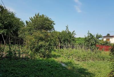 Casa si spatiu comercial in Singureni, Giurgiu - 1