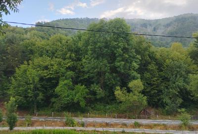 Casă cu 3 camere în Mănăstire - 1