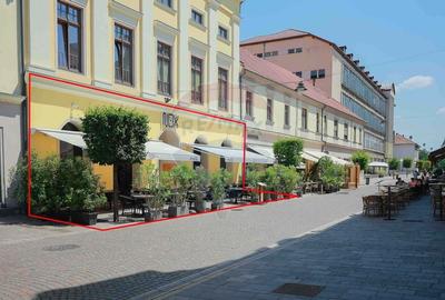 De vanzare -- Spatiu comercial parter 409 mp, Vasile Alecsandri - 11