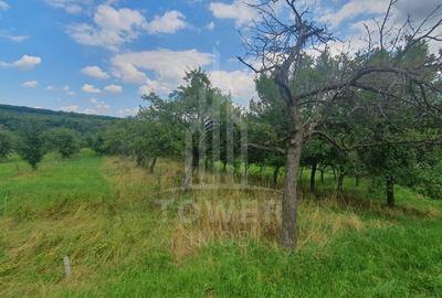 Teren de vanzare in Sibiel . - 3