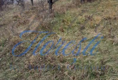 Spațiu comercial, în Borhanci