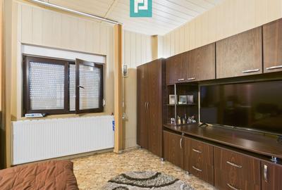 Pensiune la Orțișoara - 36