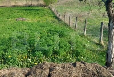 Teren de 4252 mp, în Central - 5