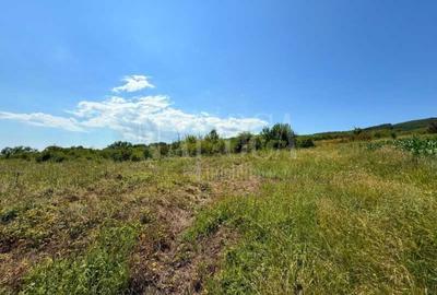 Teren intravilan pentru constructii de vanzare in Chinteni