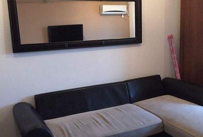 Apartament cu 2 camere decomandat, mobilat în Torontalului - 3