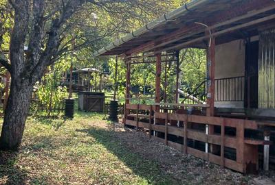 Proprietar-vand cabana cu livada teren mare-Stejeris-locatie deosebita - 7