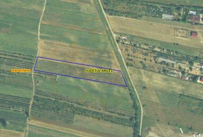 Teren Construcții intravilan de 7545 mp, în Mărăcineni