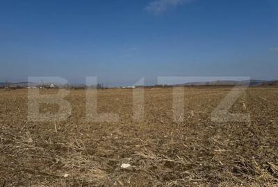 Teren de 2900 mp, în Central