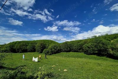 Teren Valea Lisnaului Covasna @ 3000m2