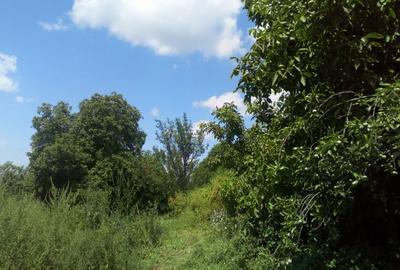 Casă cu 3 camere cu Teren 5000 Mp în Central - 2