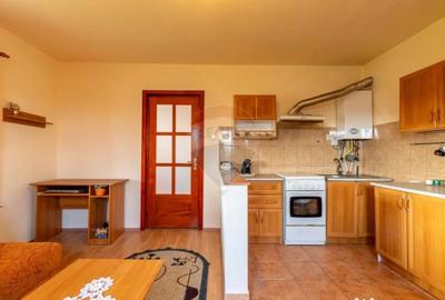 Casă cu 2 camere cu Teren 3301 Mp în Jucu - 8