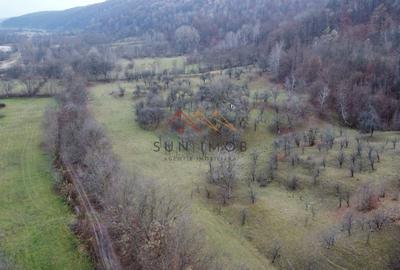 Teren 36000 m2, intravilan+partial extravilan, cadastru, Draganeasa PH - 6