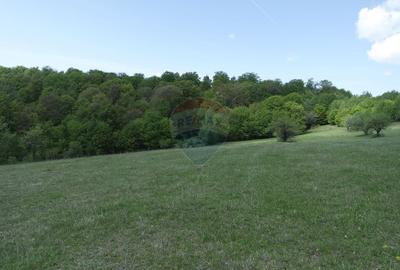 Teren extravilan de 7500 mp, în Preluca Nouă - 4