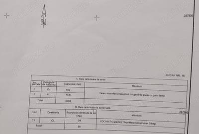 Casă cu 4 camere cu Teren 5000 Mp în Drăgănești - 7