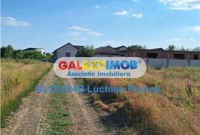 Teren intravilan comuna Berceni, Mamina - locatie langa lac Teren intravilan comuna Berceni, Mamina - locatie langa lac - 4