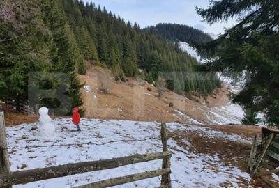 Teren în Fundata - 3