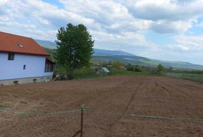 Teren de 1000 mp, în Jelna - 5