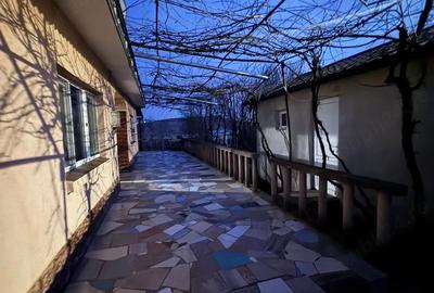 Casă cu Teren 1500 Mp în Războieni - 3