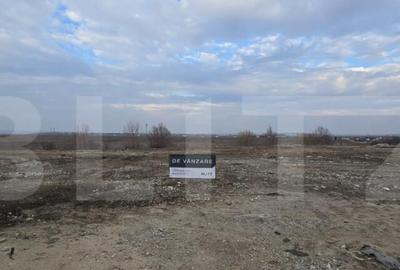 Teren de 9000 mp, în Central