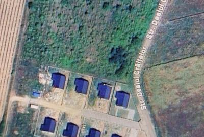 Teren de 12000 mp, în Bârnova - 1