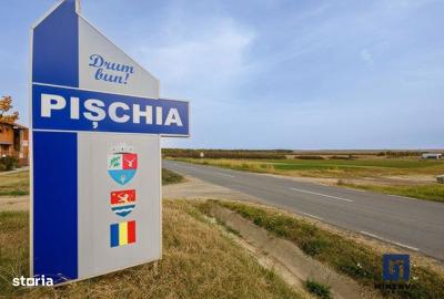 Spațiu comercial, în Pișchia