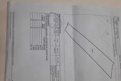 Teren de 4200 mp, în Sâncel - 2