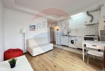 Apartament cu 2 camere decomandat, mobilat în Ștefăneștii de Jos - 11