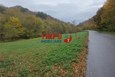 Teren de 5542 mp, în Galda de Jos - 2