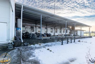 Spațiu comercial, de 1,341 mp, în Valea Crișului - 12