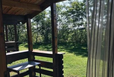 Transilvania Camping,domeniu de 14.400mp,Sanmarghita de Mures:2cladiri, apartame - 14